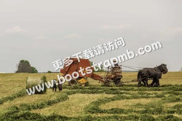 ⊞ Portfolio - 虎扑体育daxinyi